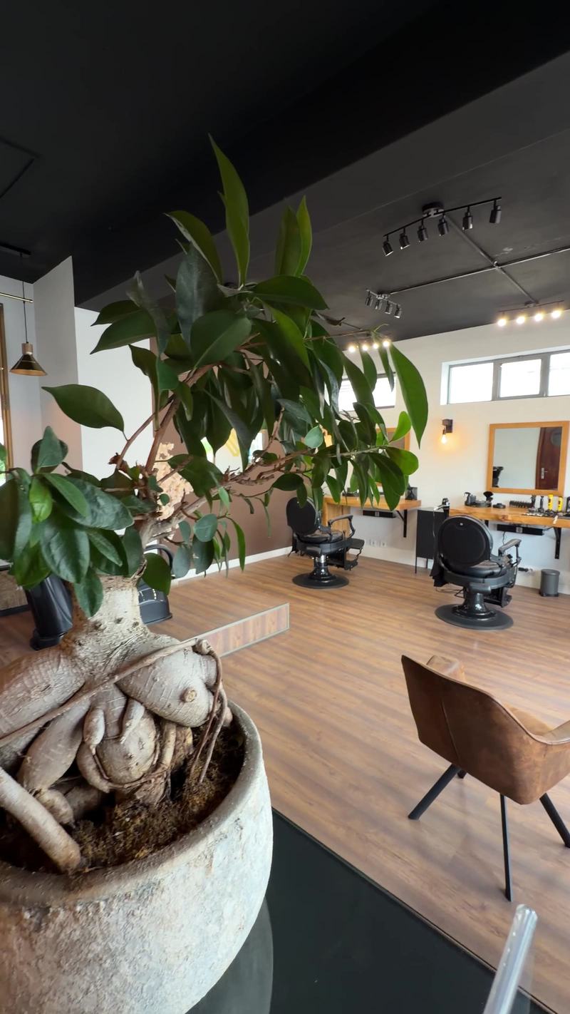 Zona de espera com poltrona e plantas